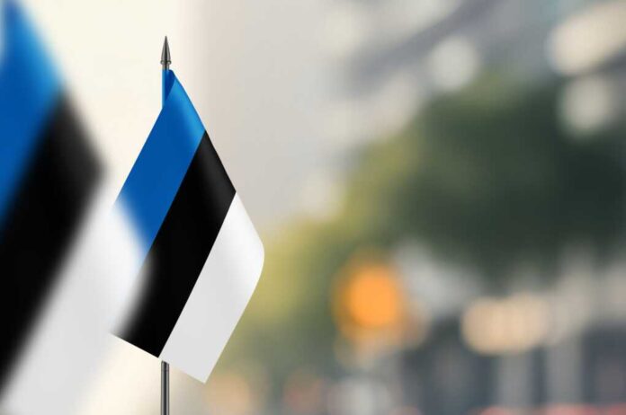 Small,Flags,Of,Estonia,On,A,Blurred,Background