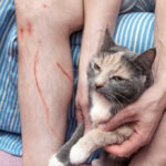 PETA SCANDAL: Fake Cat Experiment Claims EXPOSED