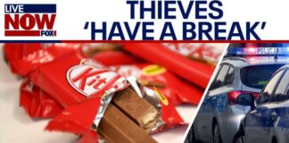 Thieves steal 12 tons of KitKat chocolate bars from truck in