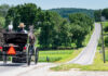 Two individuals in a horse-drawn carriage traveling down a rural road surrounded by greenery