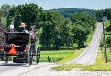 Two individuals in a horse-drawn carriage traveling down a rural road surrounded by greenery