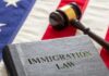 A book titled 'Immigration Law' next to a gavel on an American flag background