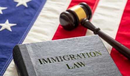 A book titled 'Immigration Law' next to a gavel on an American flag background