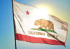 Cat Returns After 7 Years: The Miracle Chip California state flag waving in the sunlight