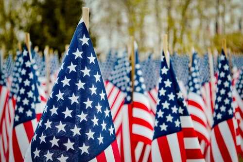 Field of American flags waving in the breeze