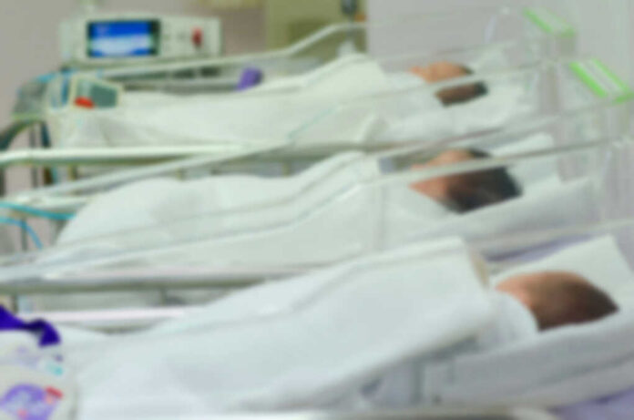Newborn infants resting in hospital cribs in a nursery