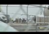 3News Investigates | Thousands deported, millions made: ICE's Hidden Hub operating in Northeast Ohio