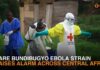 Healthcare Workers DYING: Ebola Breaches Defense Ebola outbreak deepens in DR Congo as WHO intensifies emergency response