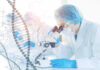 Scientist examining samples under a microscope in a laboratory