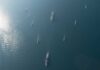 Naval Blockade SHOCKS Iran: Economic Collapse Looms Aerial view of multiple naval ships navigating in the ocean