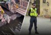 Zoo Horror Sparks Attempted-Murder Probe Three-year-old 'critically injured' in crocodile enclosure - what we know so far