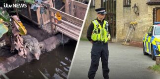 Three-year-old 'critically injured' in crocodile enclosure - what we know so far