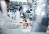 Scientists working in a laboratory with microscopes and test tubes