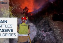Spain battles devastating wildfires amid strong winds