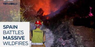 Spain battles devastating wildfires amid strong winds