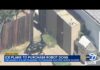 ICE plans to purchase robot dogs