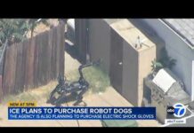 ICE plans to purchase robot dogs