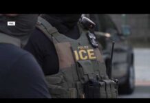 DHS ordering electric shock gloves for ICE officers
