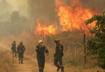 Tourists Flee as Greece Ignites Greece battles wildfires, drought shuts Hungary's nuclear power plant