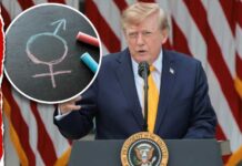 DOJ Hammer Drops On School Gender Rules Trump Warns Public Schools: Telling Kids to Become Transgender Is ‘Child Abuse’