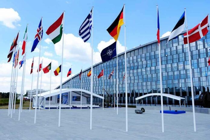 Row of national flags outside a modern glass building