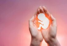 Graphic Abortion Art Hits High School hands cupping a fetal silhouette on pink background