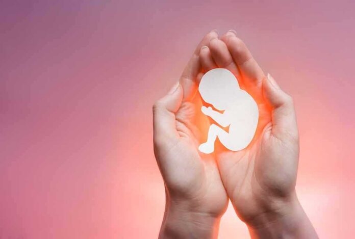 hands cupping a fetal silhouette on pink background