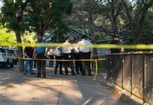 Philadelphia Shootout Leaves Officers Down Police officers gather behind yellow tape on a tree-lined sidewalk